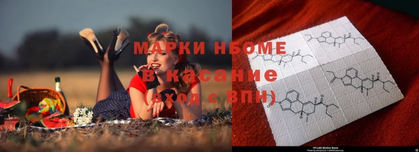 прущие грибы Абинск