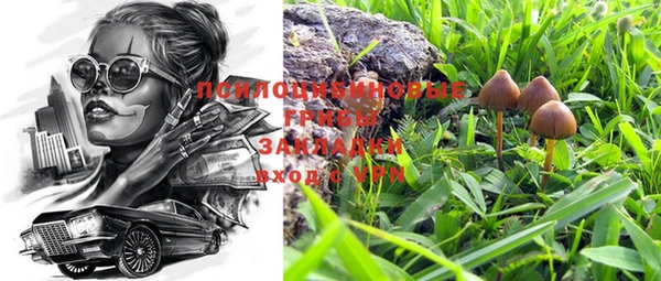 трава Покачи