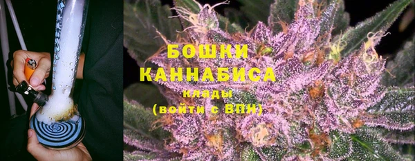 прущие грибы Абинск