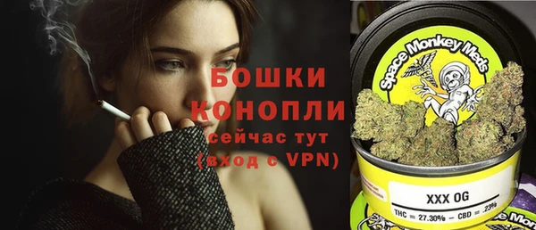 прущие грибы Абинск