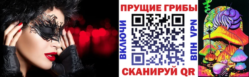 Галлюциногенные грибы Cubensis Нягань