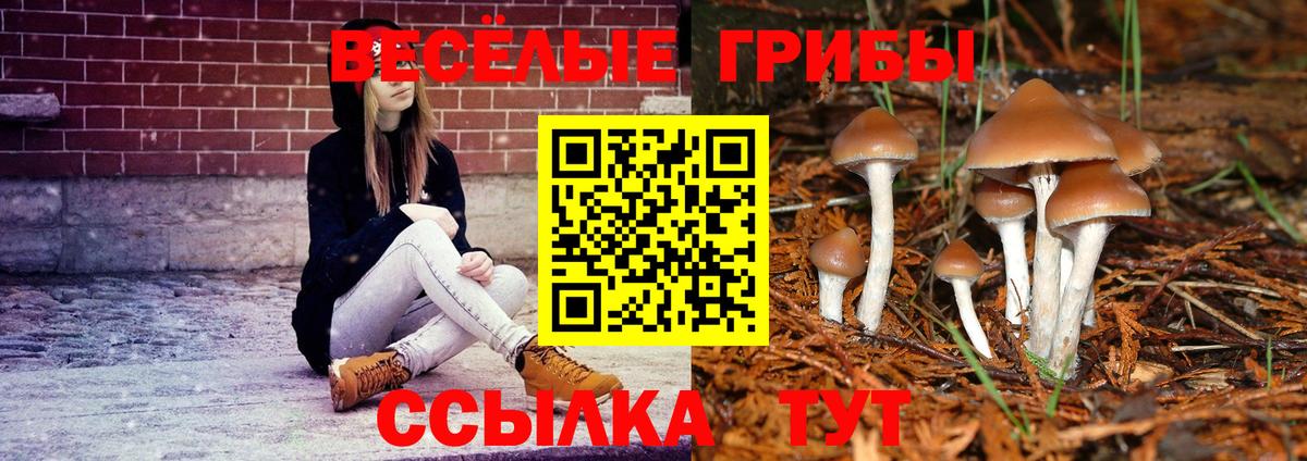 Нягань  Псилоцибиновые грибы Psilocybe  Псилоцибиновые грибы ЛСД  Вход с VPN 